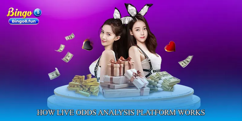How Live Odds Analysis Platform Works