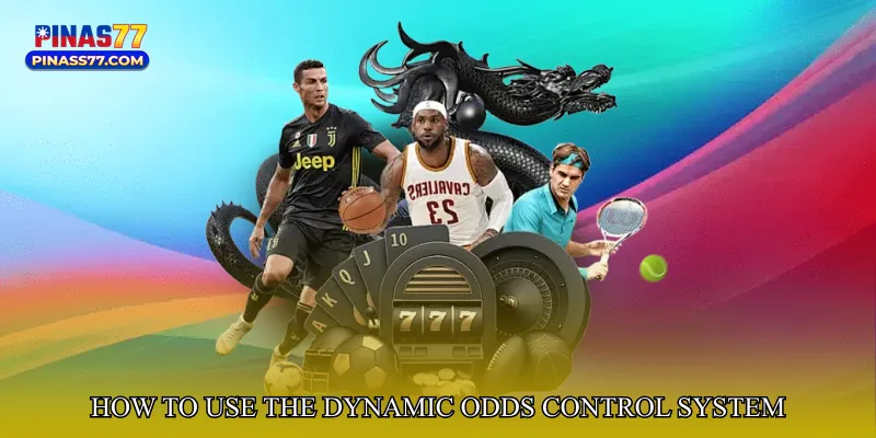 How to Use the Dynamic Odds Control System