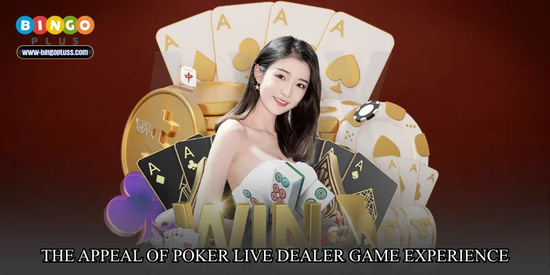 The Appeal of Poker Live Dealer Game Experience